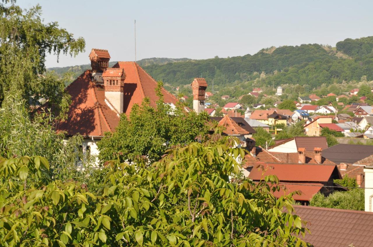 Casa Romaneasca Curtea de Argeş エクステリア 写真